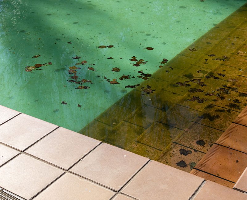 Green pool water with algae and debris near tiled edge, illustrating the need for professional green pool cleanup services by Luna Pool Service.