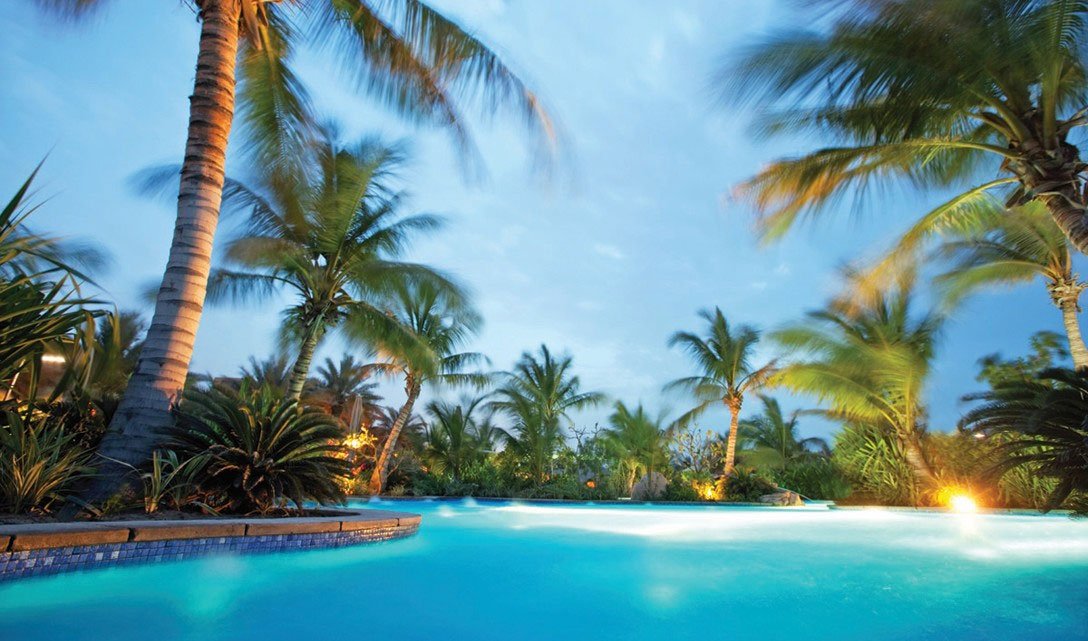 Tropical pool scene with palm trees and illuminated landscaping, representing Luna Pool Service's commitment to maintaining beautiful and safe pools in Tucson and surrounding areas.